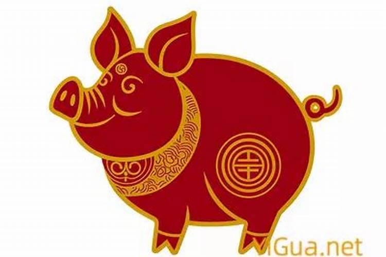 属猪的要找什么属相的婚配？