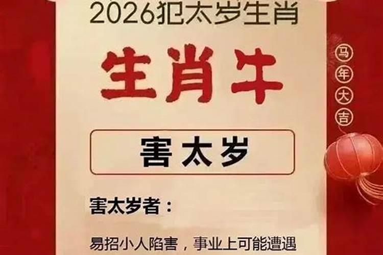 2026年刑太岁如何解？