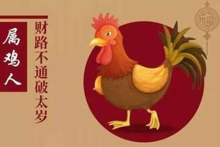 属鸡为什么破太岁？