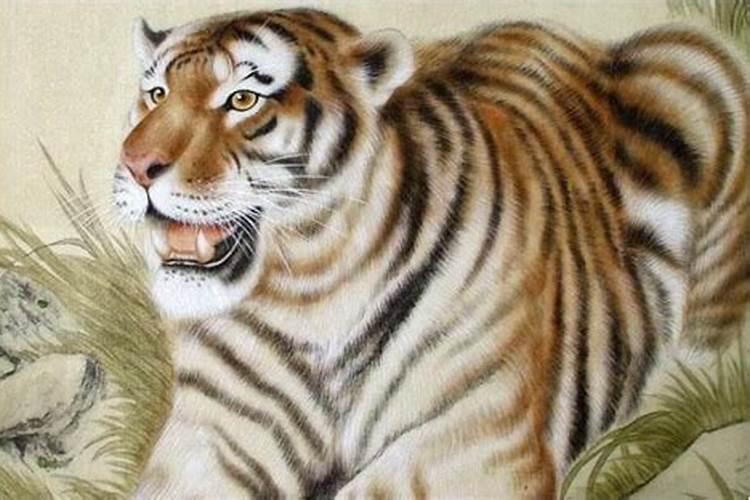 生肖虎十月初一出生的好吗？