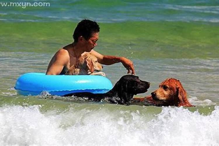 梦见大海里游泳去远方了