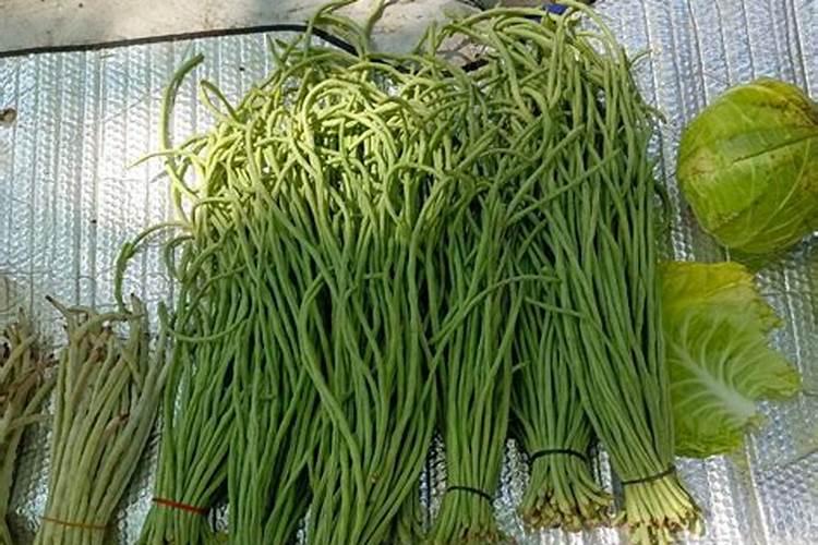 什么样的婚姻算幸福的婚姻？