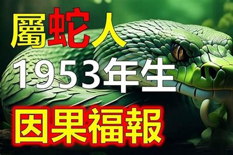 1953年蛇人的一生运程