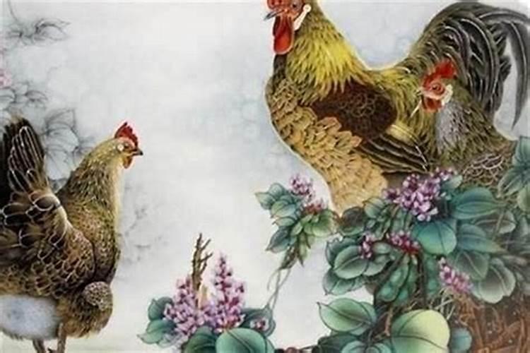 属鸡立春出生女