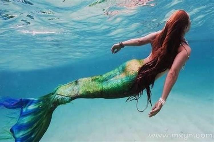 梦见美人鱼受伤是什么意思？