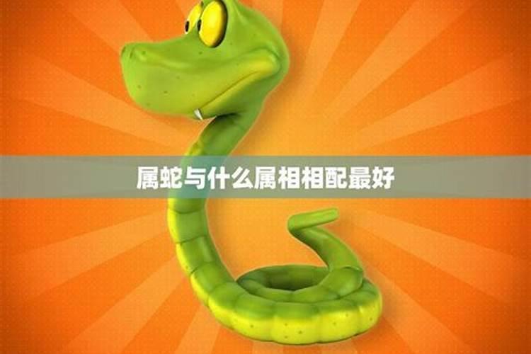 蛇生肖和什么生肖相配最好？