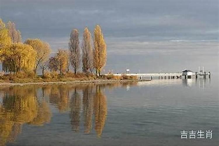 2026年1981年出生的运势