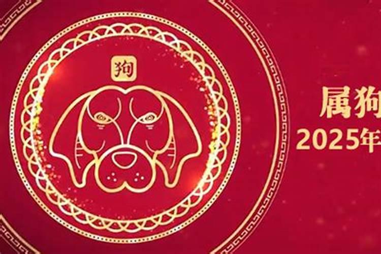 属狗人今年12月份运程