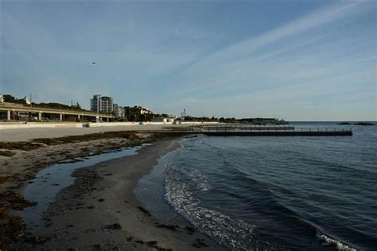 1988年男命属龙2026年运势