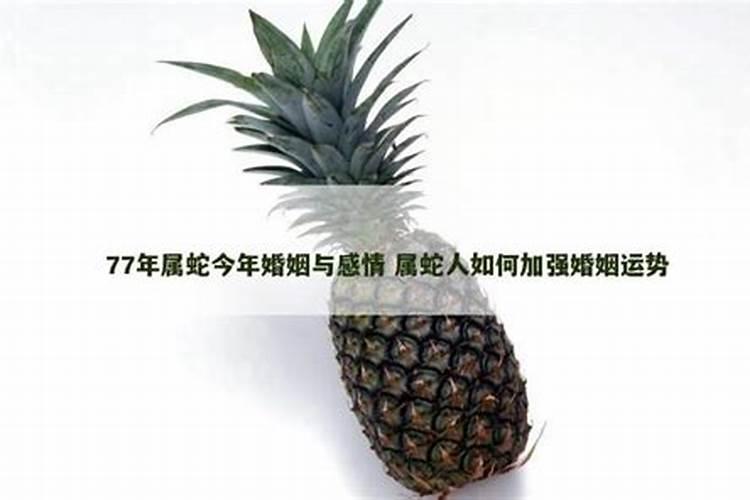 1977属蛇婚姻与运势如何？