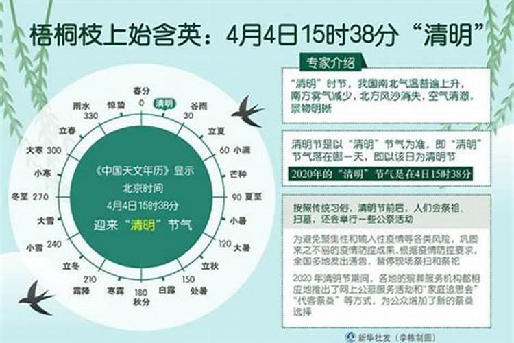 清明节是在几时？