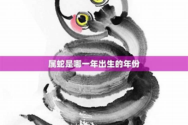 属蛇是哪年出生的？