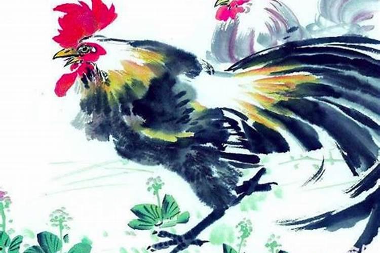 属鸡的都哪几年犯太岁？