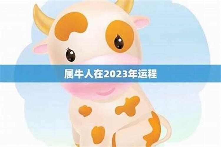 年属牛的人2026年运程