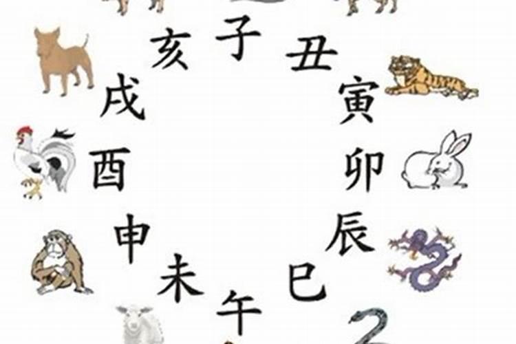 属相与五行有冲突怎么婚配？