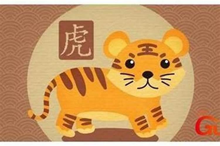 属虎的本命年注意哪些？
