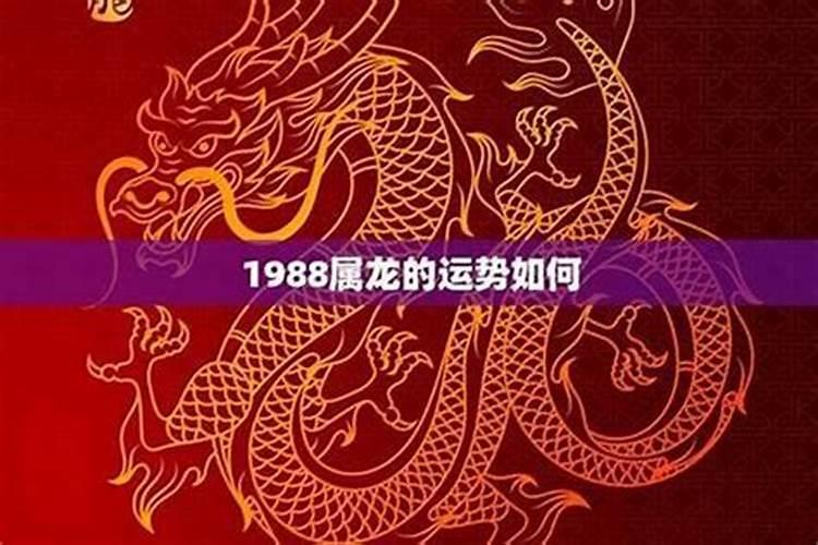 1988年属龙的今年的运程