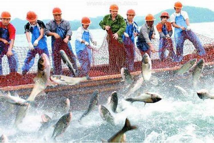 梦到捕鱼是什么意思啊？