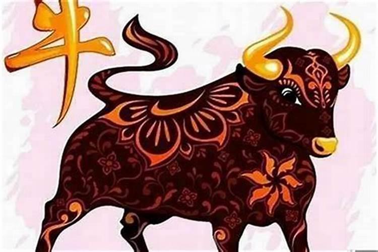 85属牛女今年运势如何？