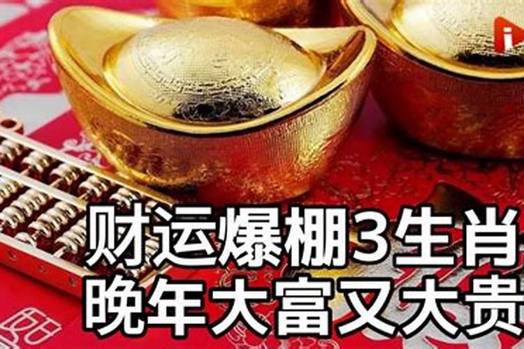 哪个生肖晚年大富大贵？