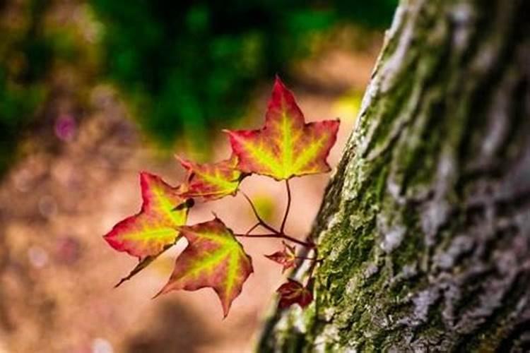 有人超度了婴灵了吗？