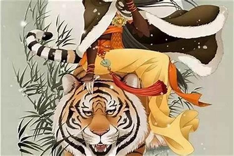 虎年本命命年运势