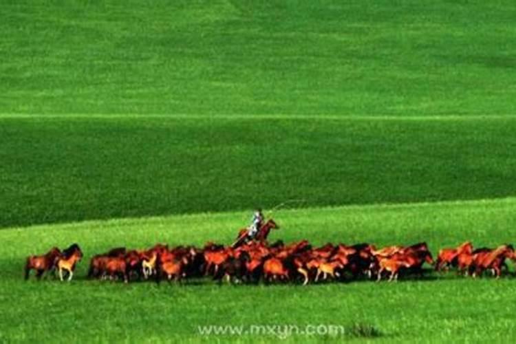 梦见红马是什么征兆？