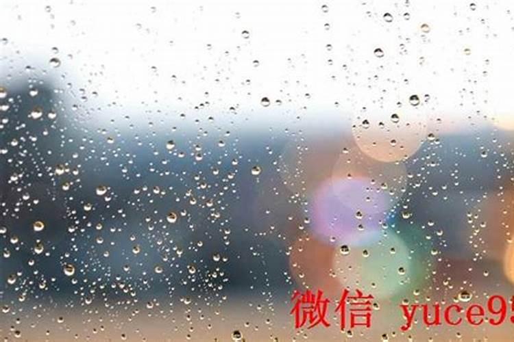 榆树哪里有算命的高人？