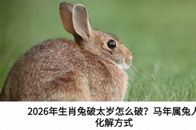兔冲太岁怎么化解？