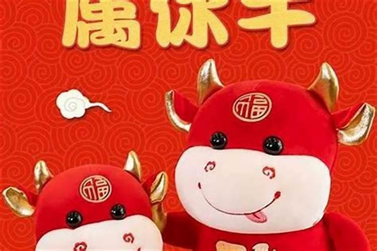 牛年除夕出生小名