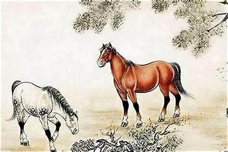 属马的婚配什么属相好？