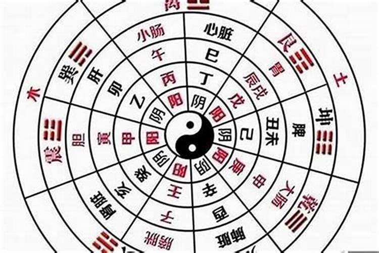 如何看八字是阴是阳？