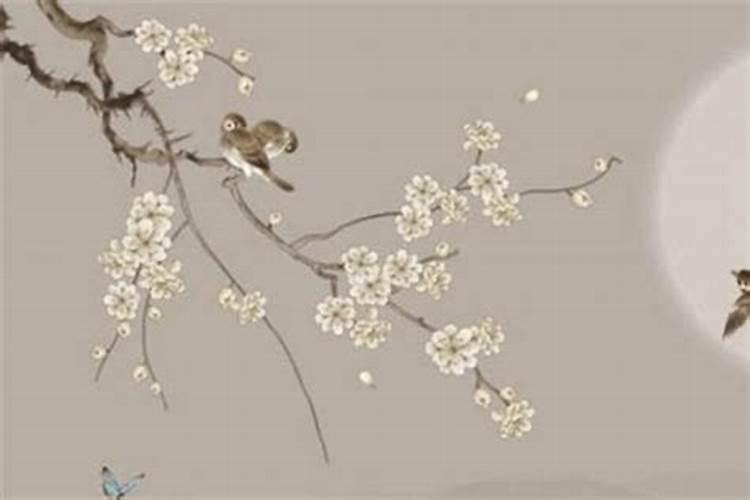 三月十五生的儿子好不好？