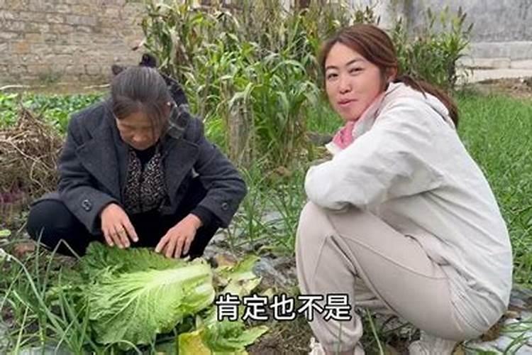 梦到公公婆婆吵架离家出走