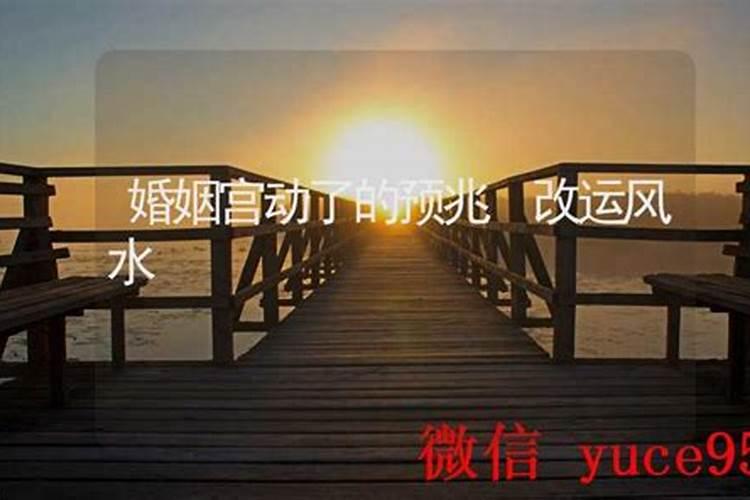 婚姻宫动了的预兆