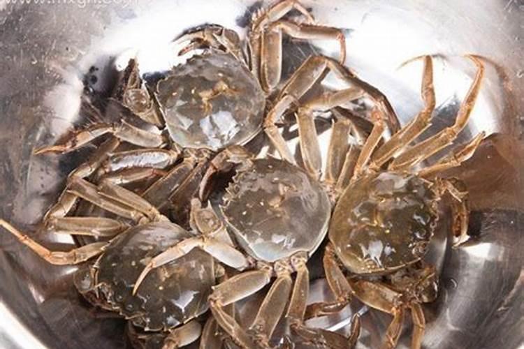 梦见很多蟹是什么意思？