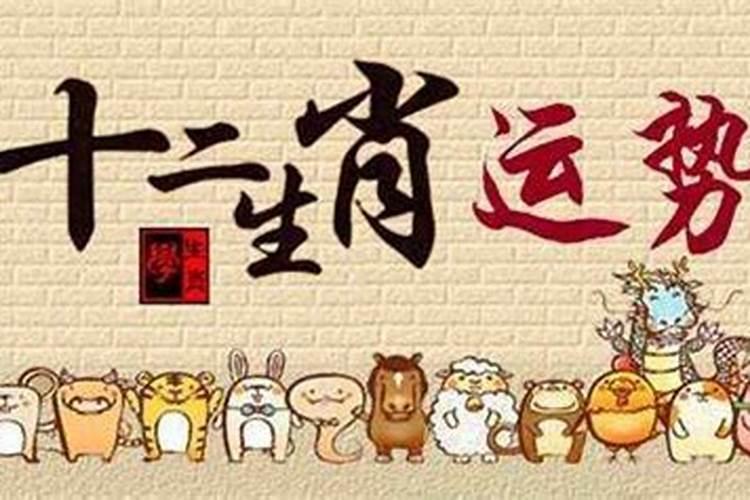 1997年属牛一生总运势