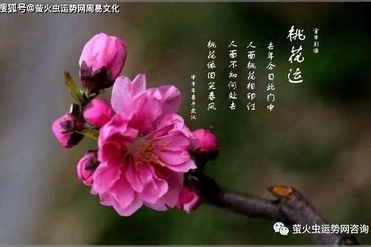 如何化解红艳煞烂桃花？