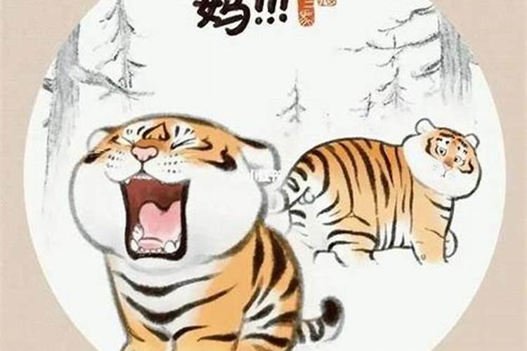 立冬后生虎宝宝命运如何？