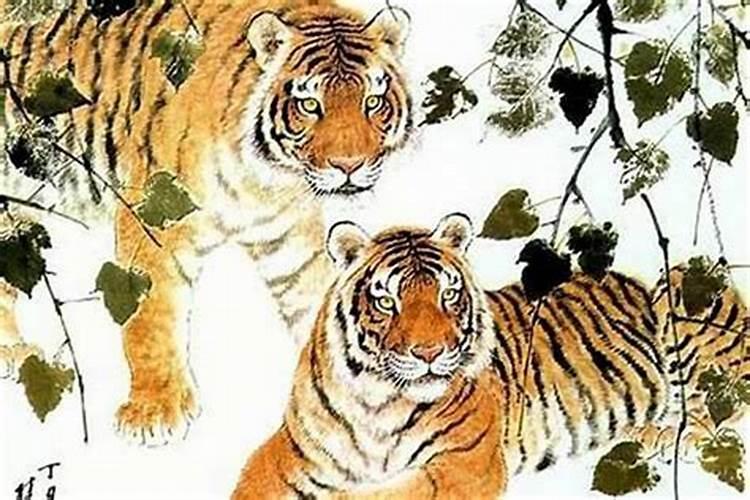 1998年属虎的本命年好不好？