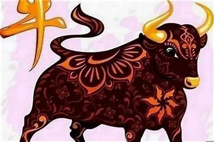 本命年财运在哪个方位最好？