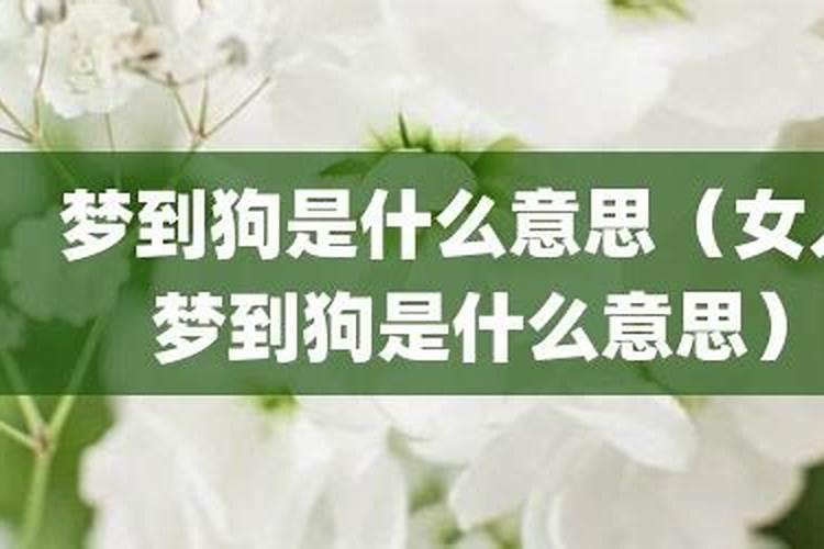 梦到狗是啥意思啊女人？