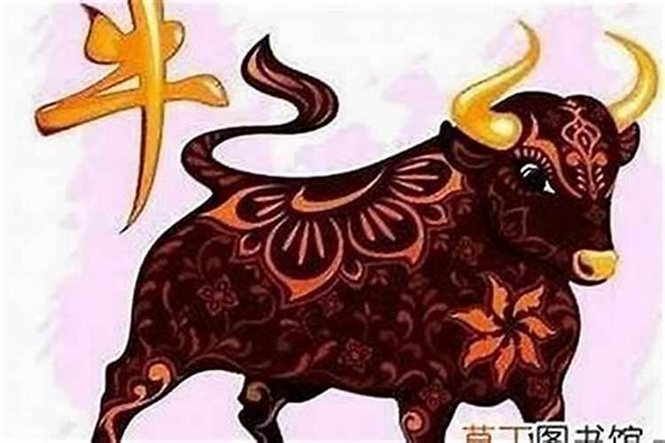 属牛本命年结婚有什么忌讳？