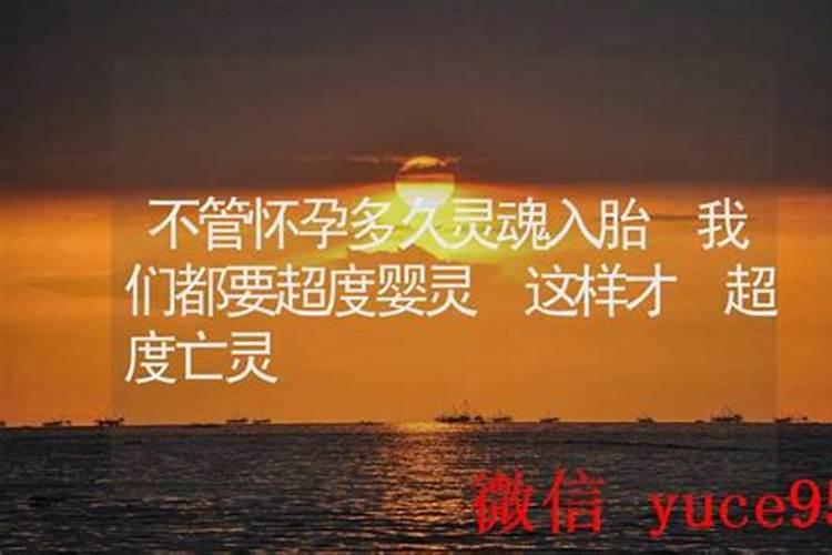 怀孕多久有灵魂入胎天涯？