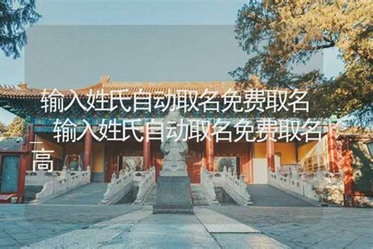 输入姓氏自动取名带