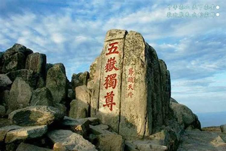 泰山童子命好不好？