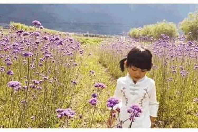 梦到带女儿翻山越岭
