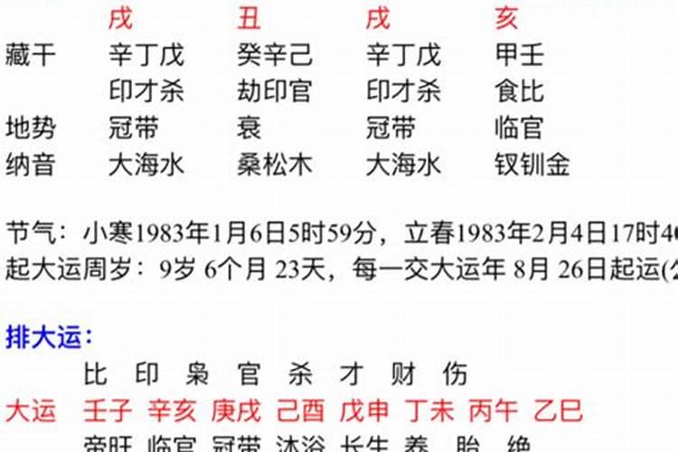 大运壬子是什么意思？