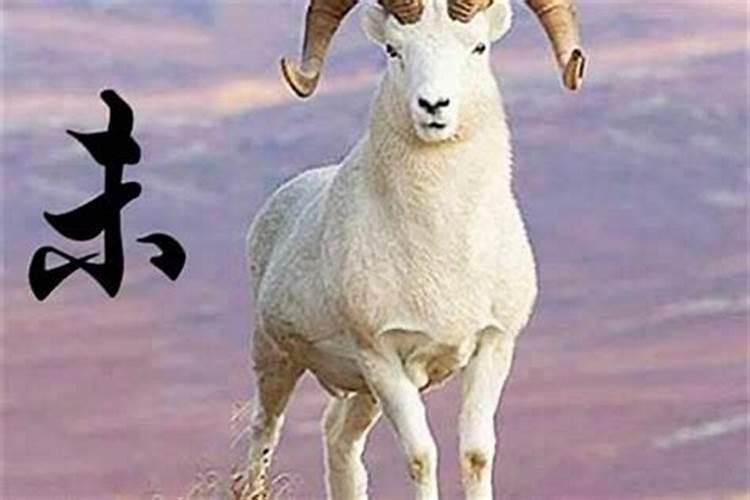 属羊人遇到牛年犯太岁吗？