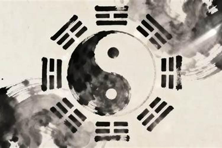 如半合木如何看运势？